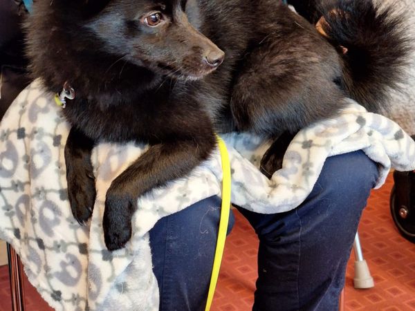 Zu Besuch im Pflege- und Betreuungszentrum Sonnhalde 2025