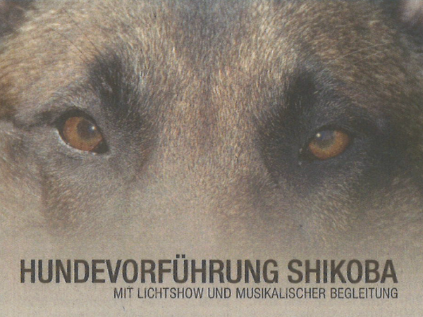 "Hundevorführung Shikoba" 2011
