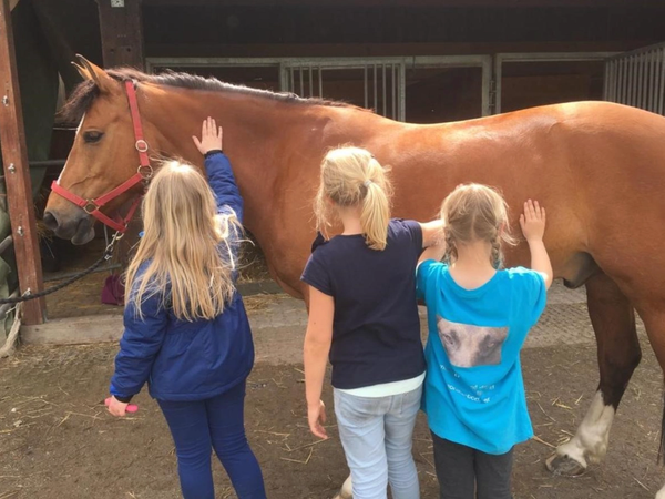 Mit Harry Zeit verbringen 2019