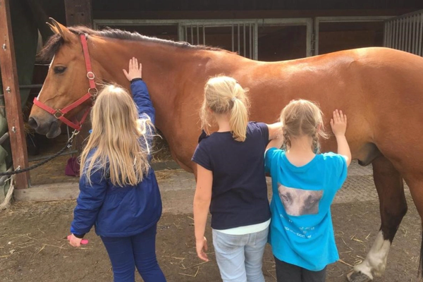 Mit Harry Zeit verbringen 2019