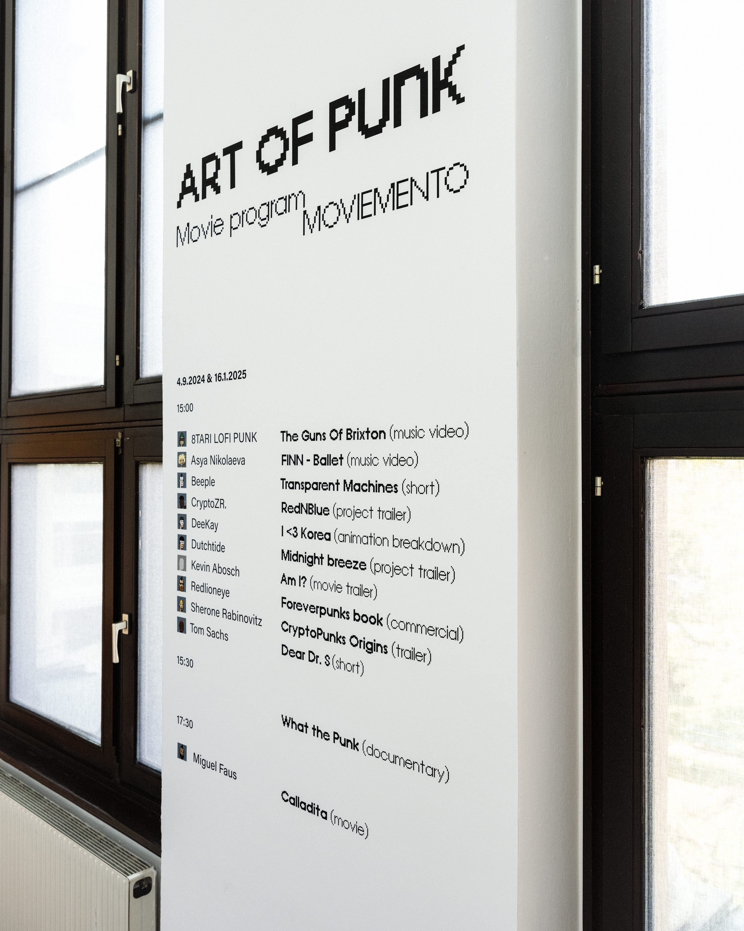 Art of Punk _ FC Linz _ 3