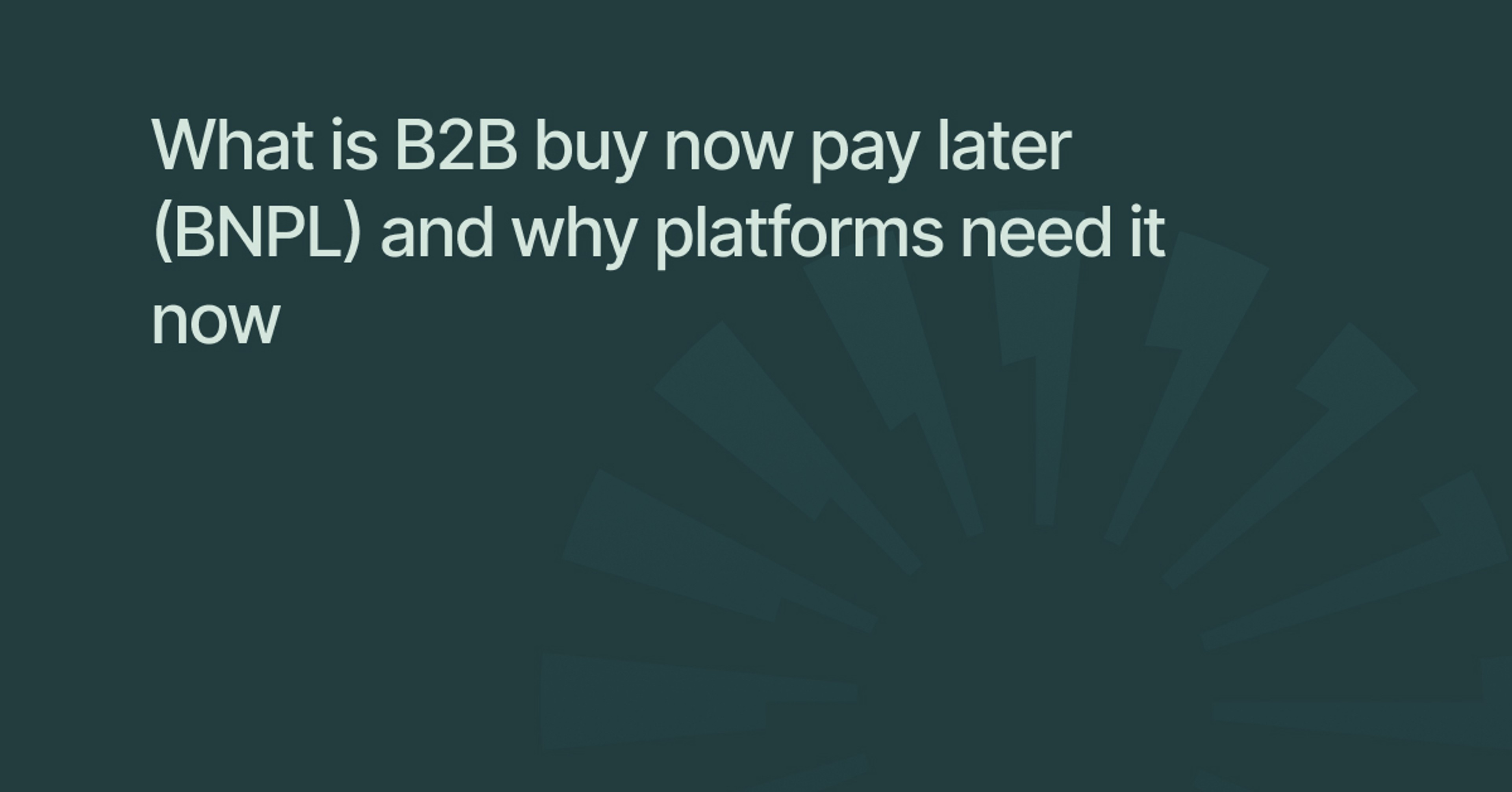 What is B2B buy now pay later (BNPL) and why platforms need it now
