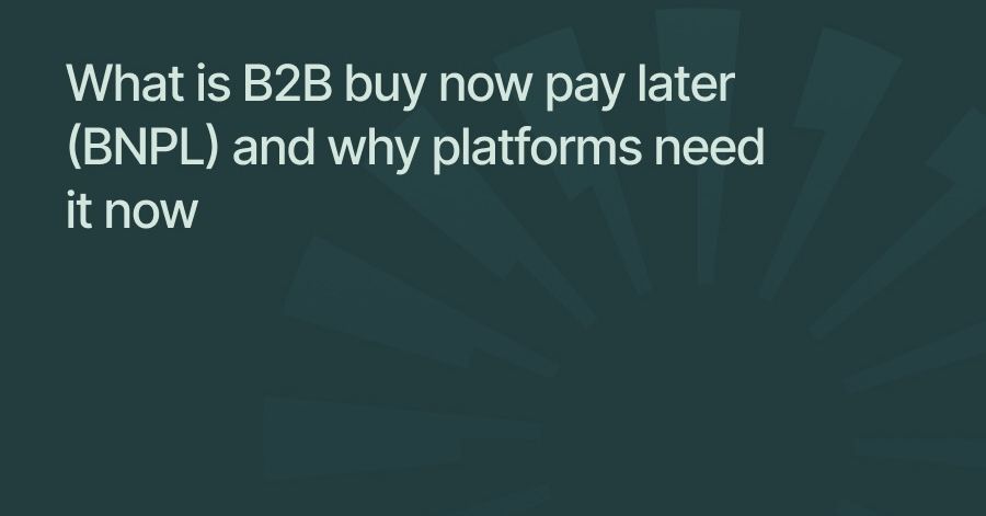 What is B2B buy now pay later (BNPL) and why platforms need it now