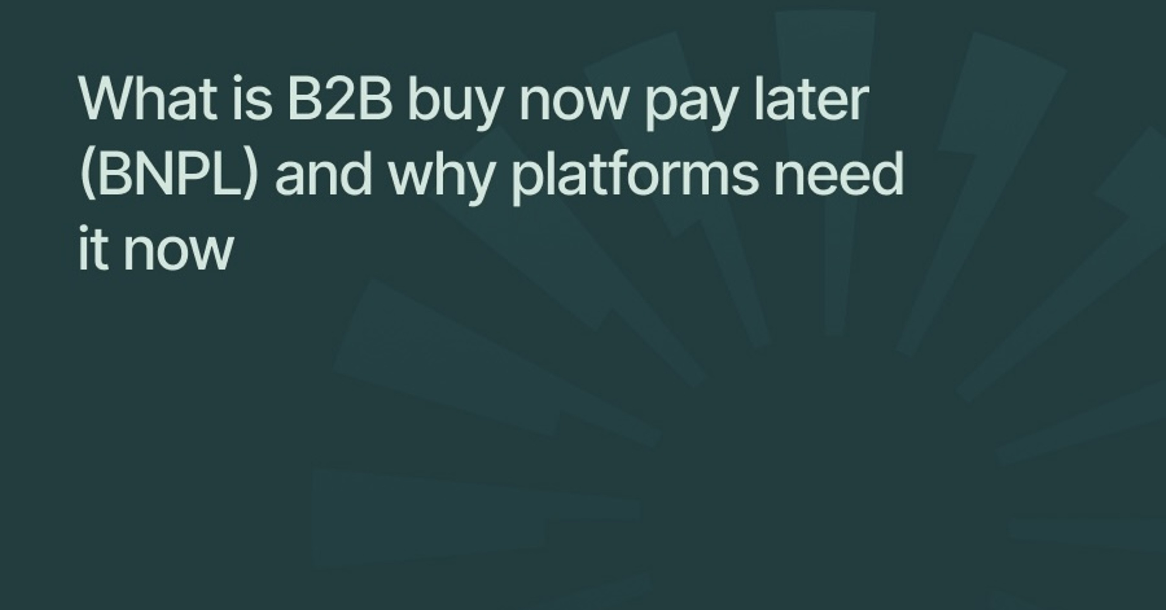 What is B2B buy now pay later (BNPL) and why platforms need it now