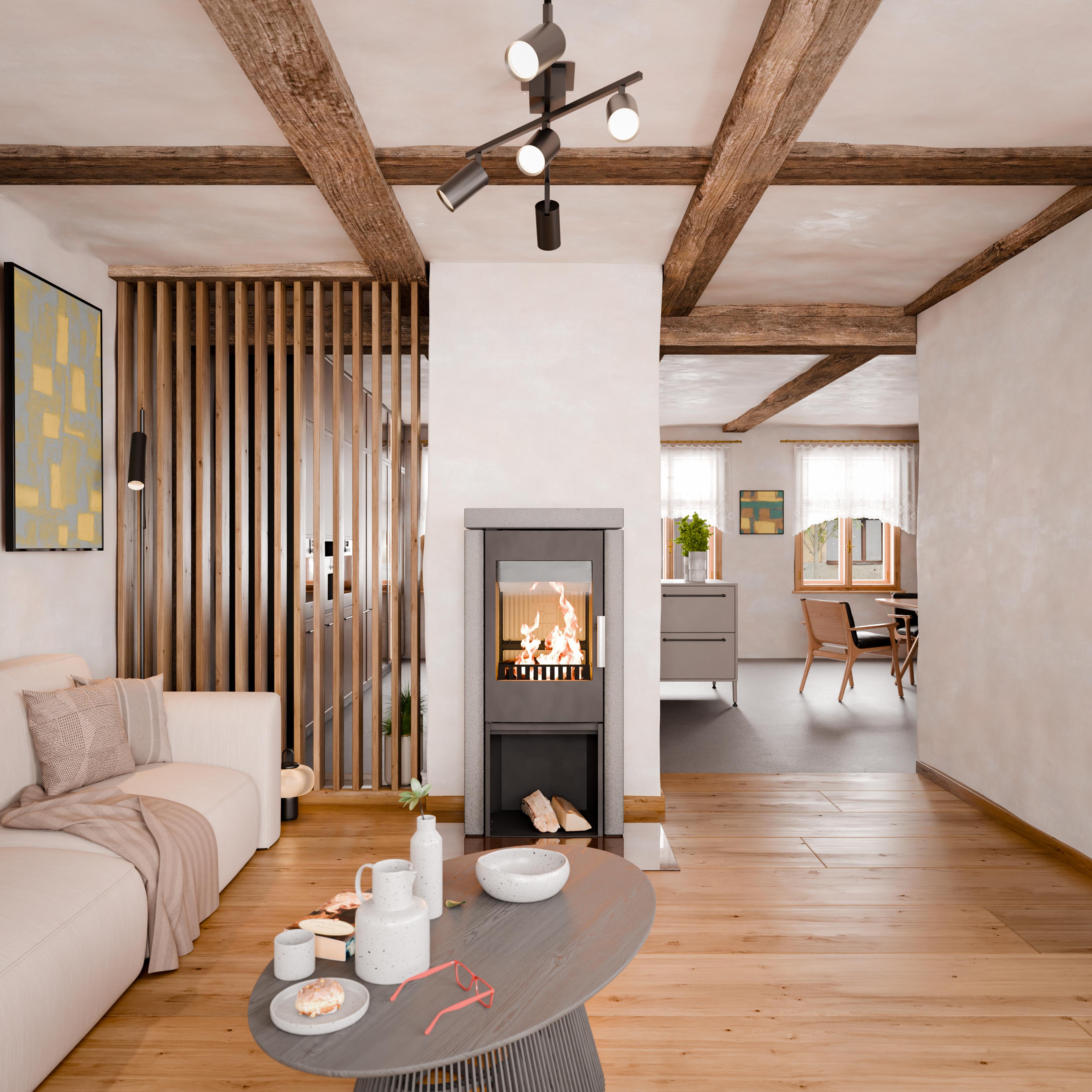 Haas+Sohn stove — interior visualization