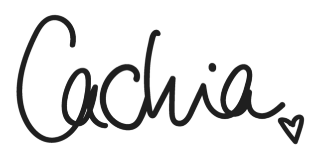 Cachia Cachia