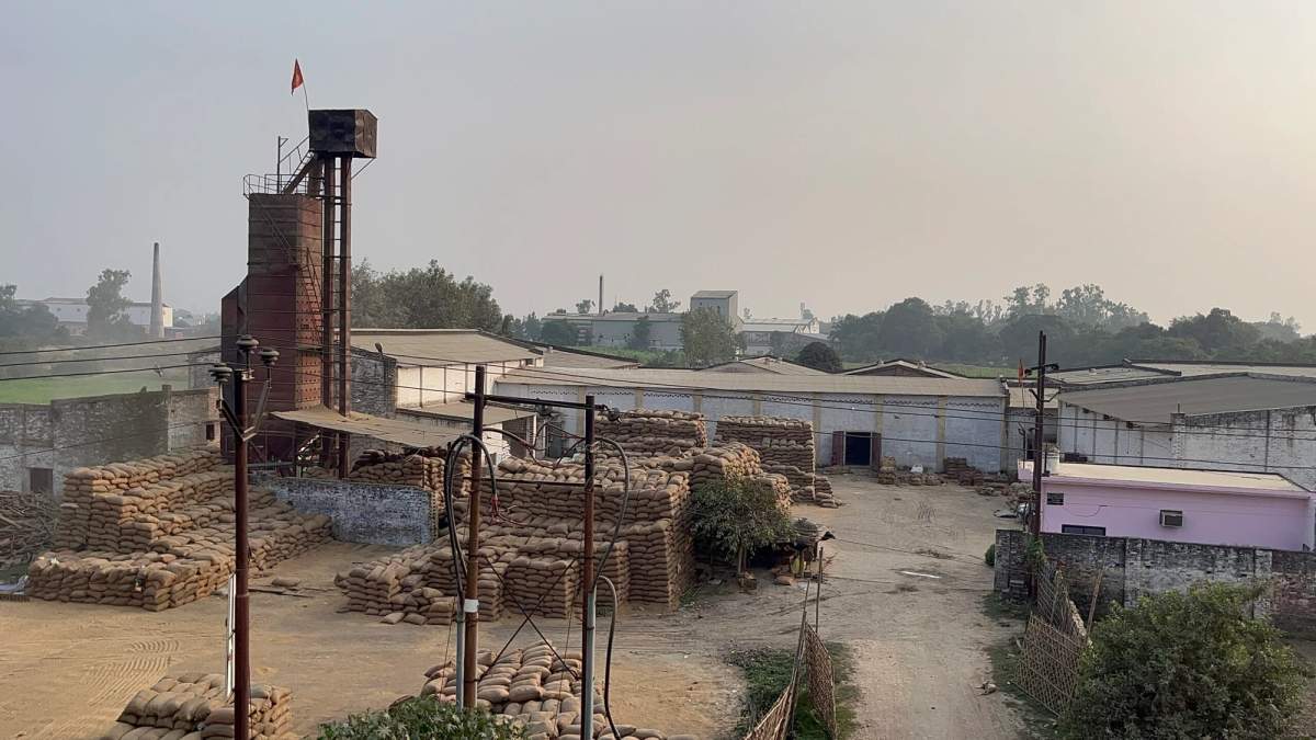 पंजाब में चावल का स्टोरेज बना बड़ा सिरदर्द, धान उत्पादन बढ़ेगा लेकिन बिकेगा कहाँ