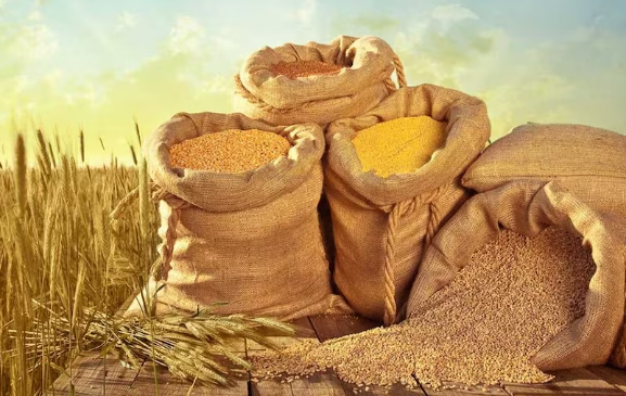 अल नीनो का असर और सूखे की चिंता, सरकार ने घटाया खाद्यान्न उत्पादन का लक्ष्य