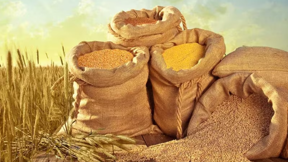 अल नीनो का असर और सूखे की चिंता, सरकार ने घटाया खाद्यान्न उत्पादन का लक्ष्य