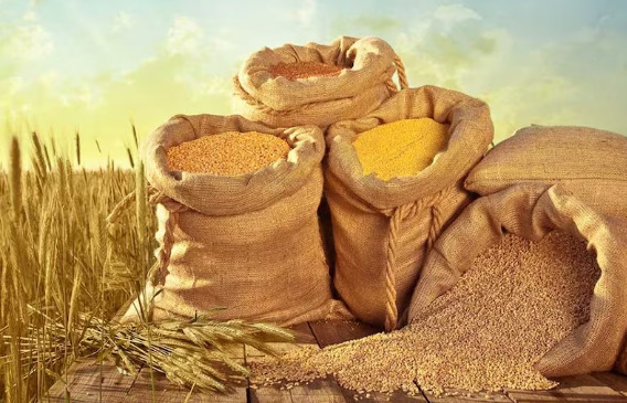 अल नीनो का असर और सूखे की चिंता, सरकार ने घटाया खाद्यान्न उत्पादन का लक्ष्य