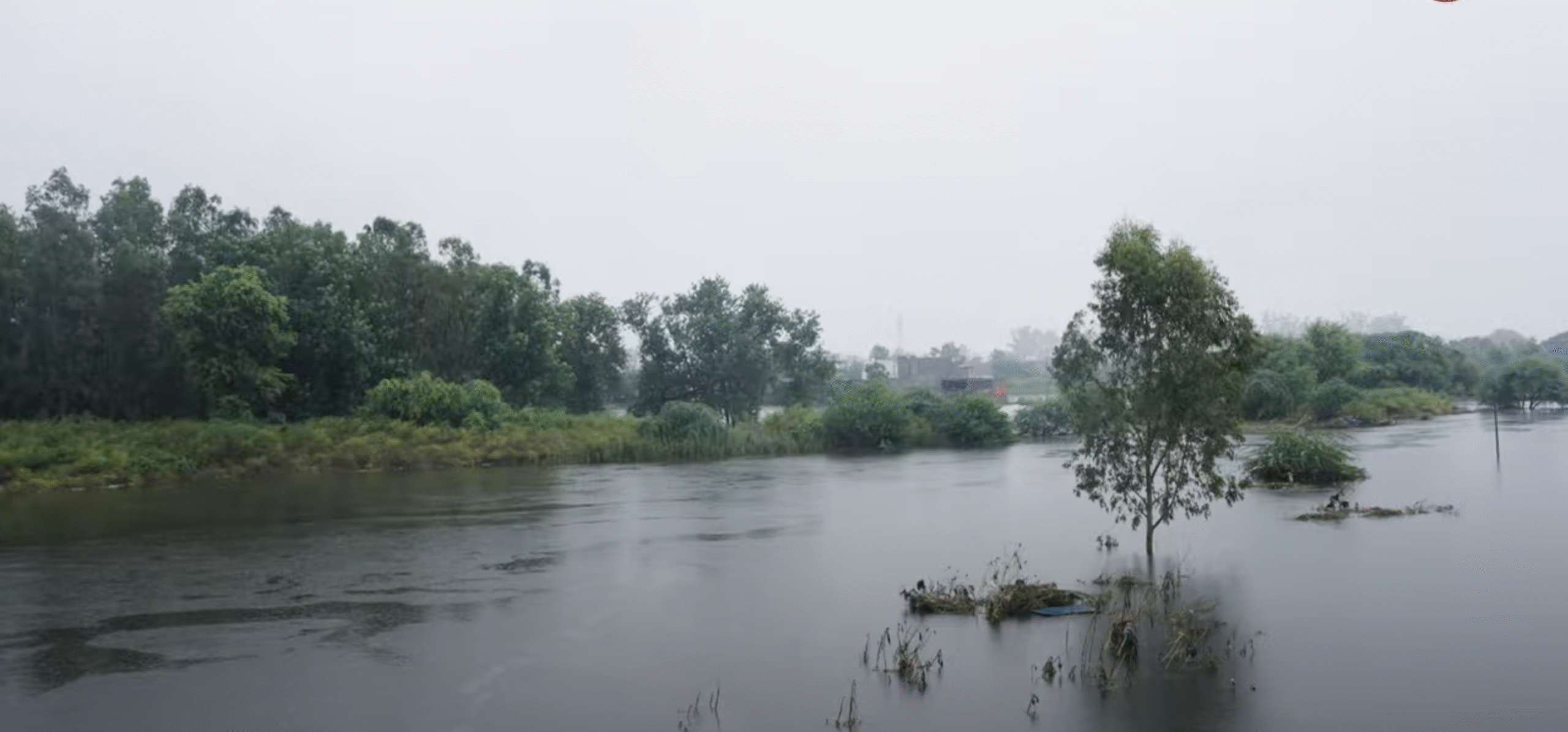 बारिश से पहले मिलेगी खबर, सरकार का अनोखा एआई मौसम कार्यक्रम