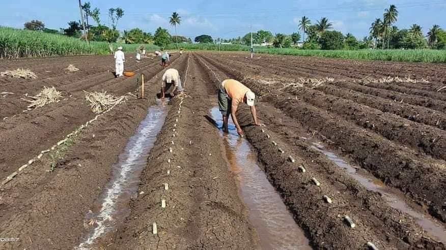 प्रधानमंत्री फसल बीमा योजना: 32,440 करोड़ रुपए के प्रीमियम के बदले किसानों को 1.64 लाख करोड़ का भुगतान