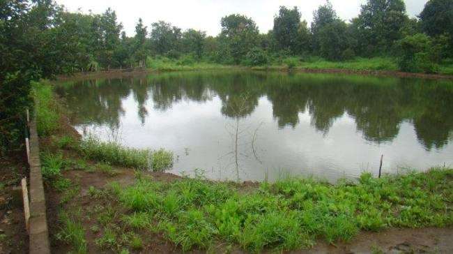 बिहार सरकार की इस योजना का किसान उठायें लाभ, 20 जुलाई तक पूरा करें आवेदन