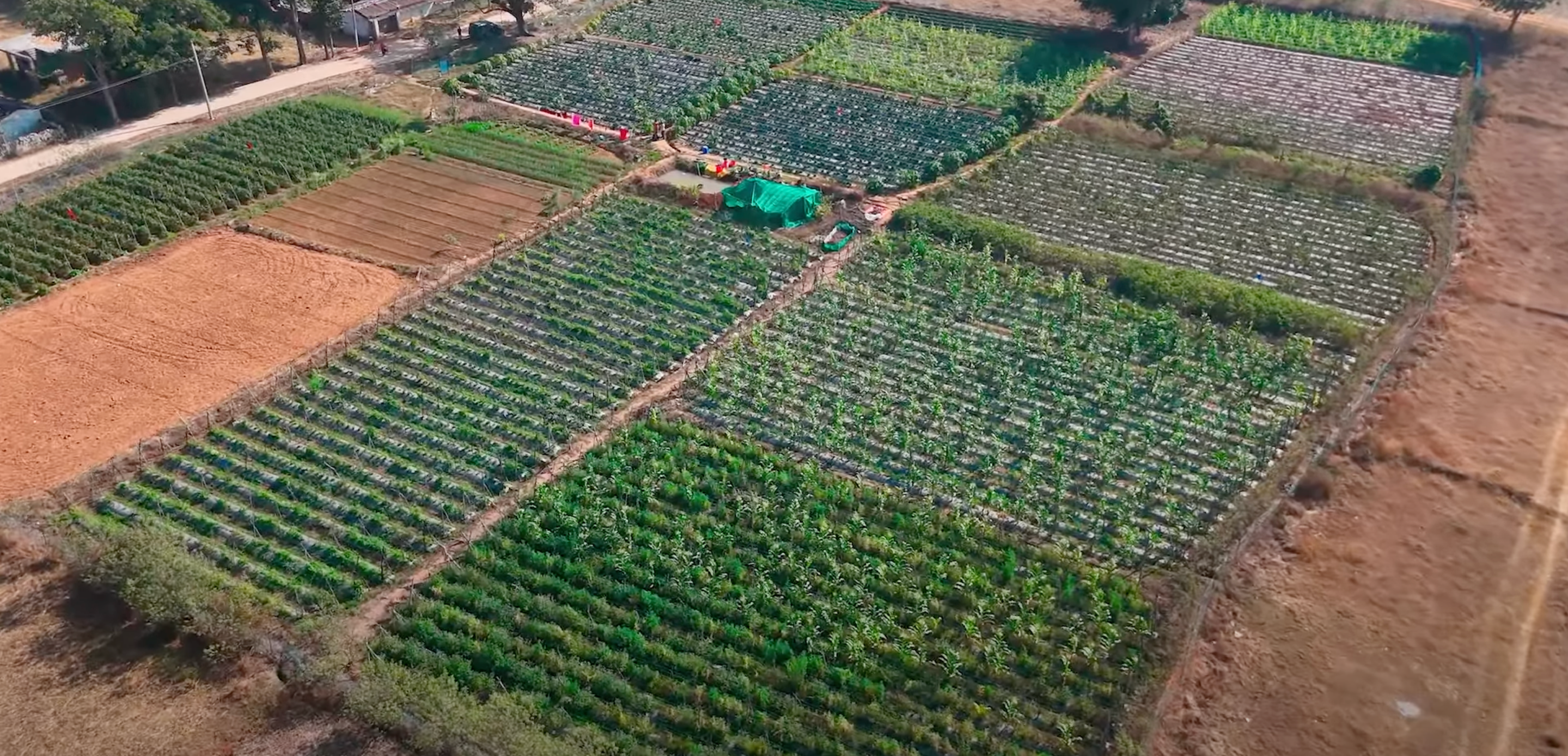 कृषि क्षेत्र का उत्पादन वित्त वर्ष 2024 में बढ़कर 29.49 लाख करोड़ रुपये हुआ: रिपोर्ट