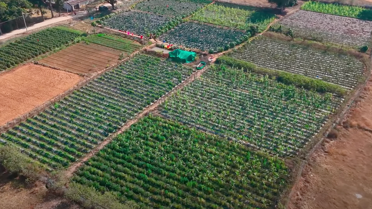कृषि क्षेत्र का उत्पादन वित्त वर्ष 2024 में बढ़कर 29.49 लाख करोड़ रुपये हुआ: रिपोर्ट