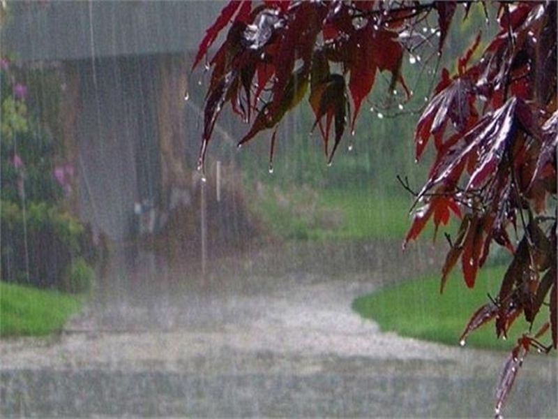 झमा-झम बारिश से दिल्ली वालों को मिली उमस भरी गर्मी से राहत, जाने और कहां होगी बारिश