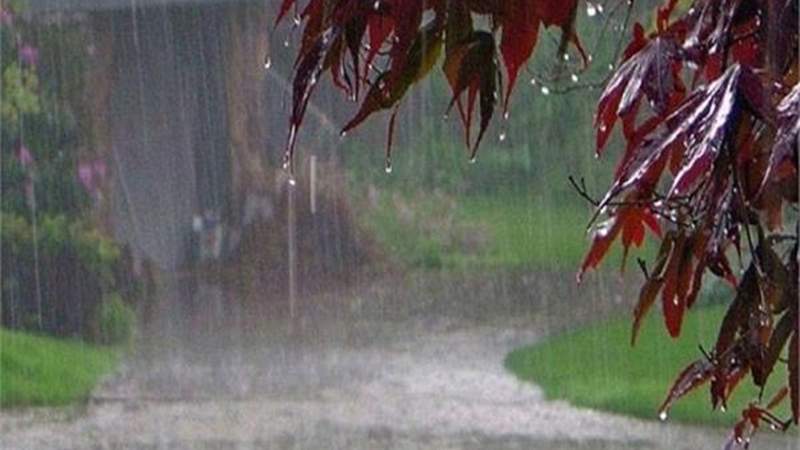 झमा-झम बारिश से दिल्ली वालों को मिली उमस भरी गर्मी से राहत, जाने और कहां होगी बारिश