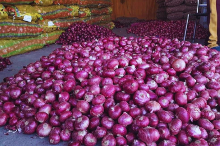 35 रुपये किलो प्याज बेच रही सरकार, जानिए किन शहरों में मिल रहा सस्ता प्याज