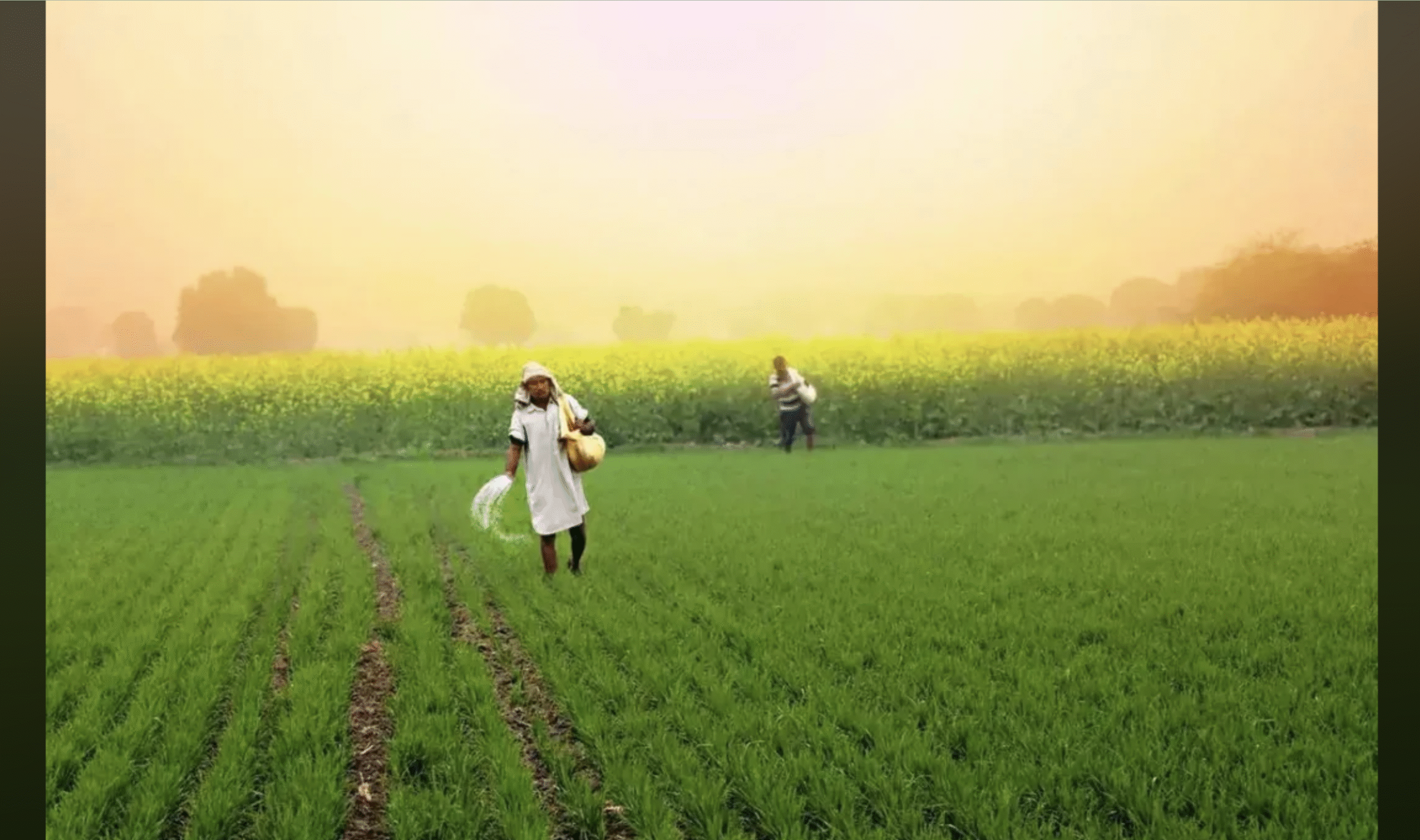 ज्यादा यूरिया पर लगाम, सरकार का नया टेक्नोलॉजी प्लान