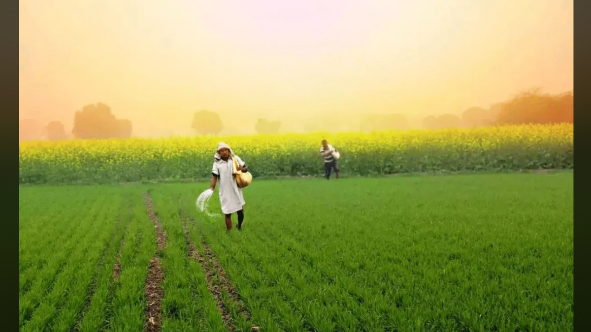 ज्यादा यूरिया पर लगाम, सरकार का नया टेक्नोलॉजी प्लान