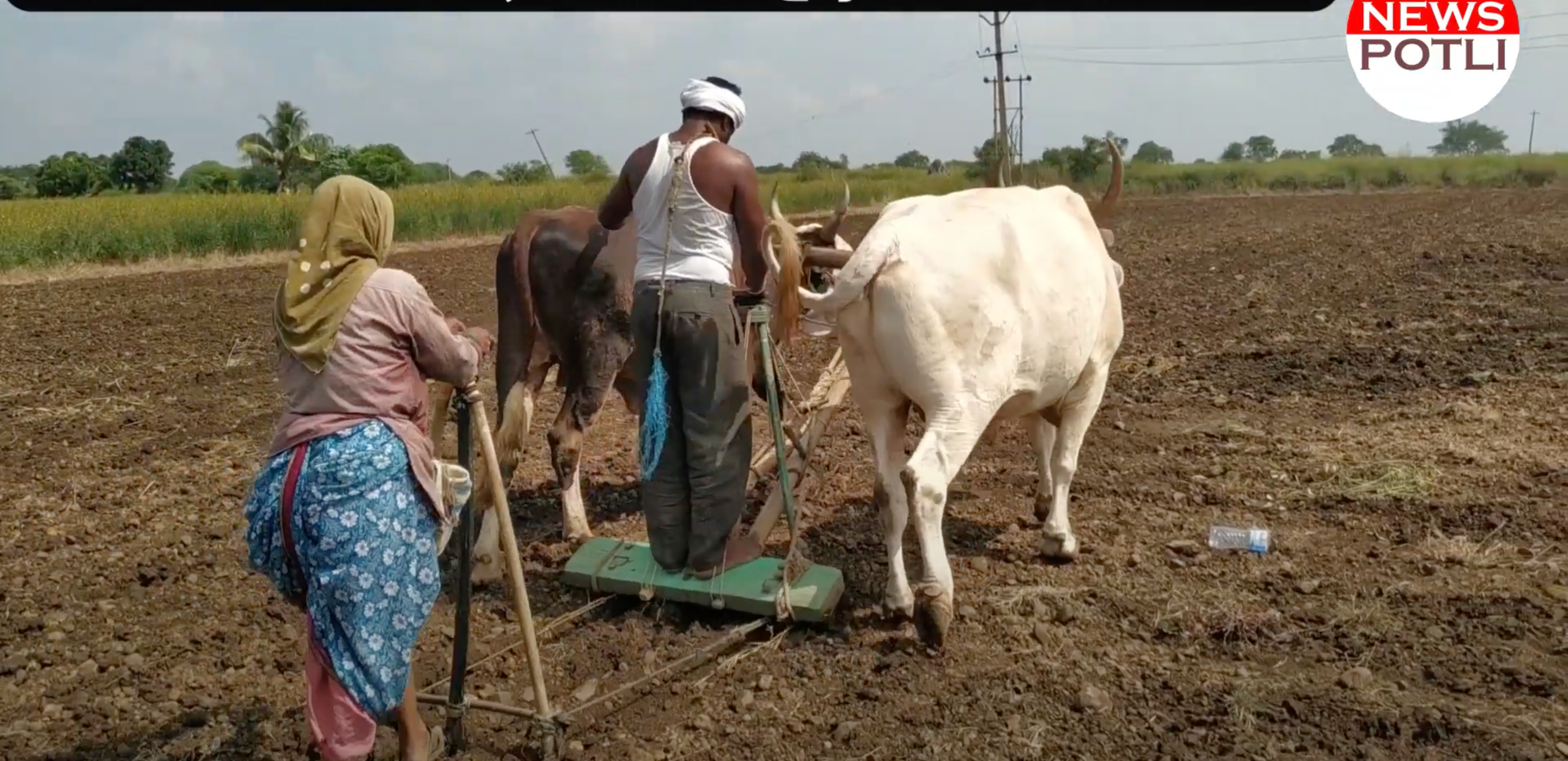 ग्रीष्मकालीन जुताई कब करें? मानसून आने से पहले किसान कर लें ये काम, बढ़ेगी पैदावार