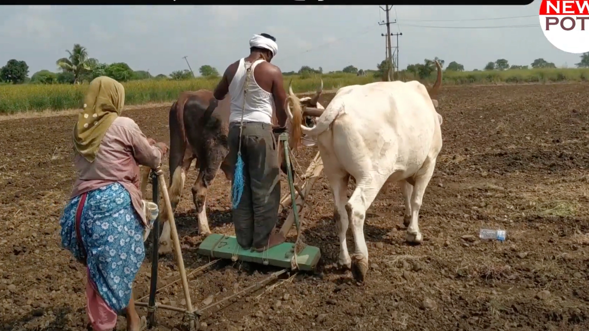 ग्रीष्मकालीन जुताई कब करें? मानसून आने से पहले किसान कर लें ये काम, बढ़ेगी पैदावार