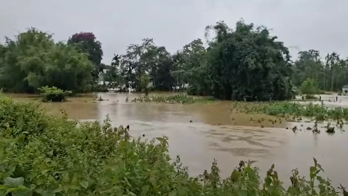 कई राज्यों में भारी बारिश की चेतावनी के बीच किसानों के लिए एडवाइजरी जारी