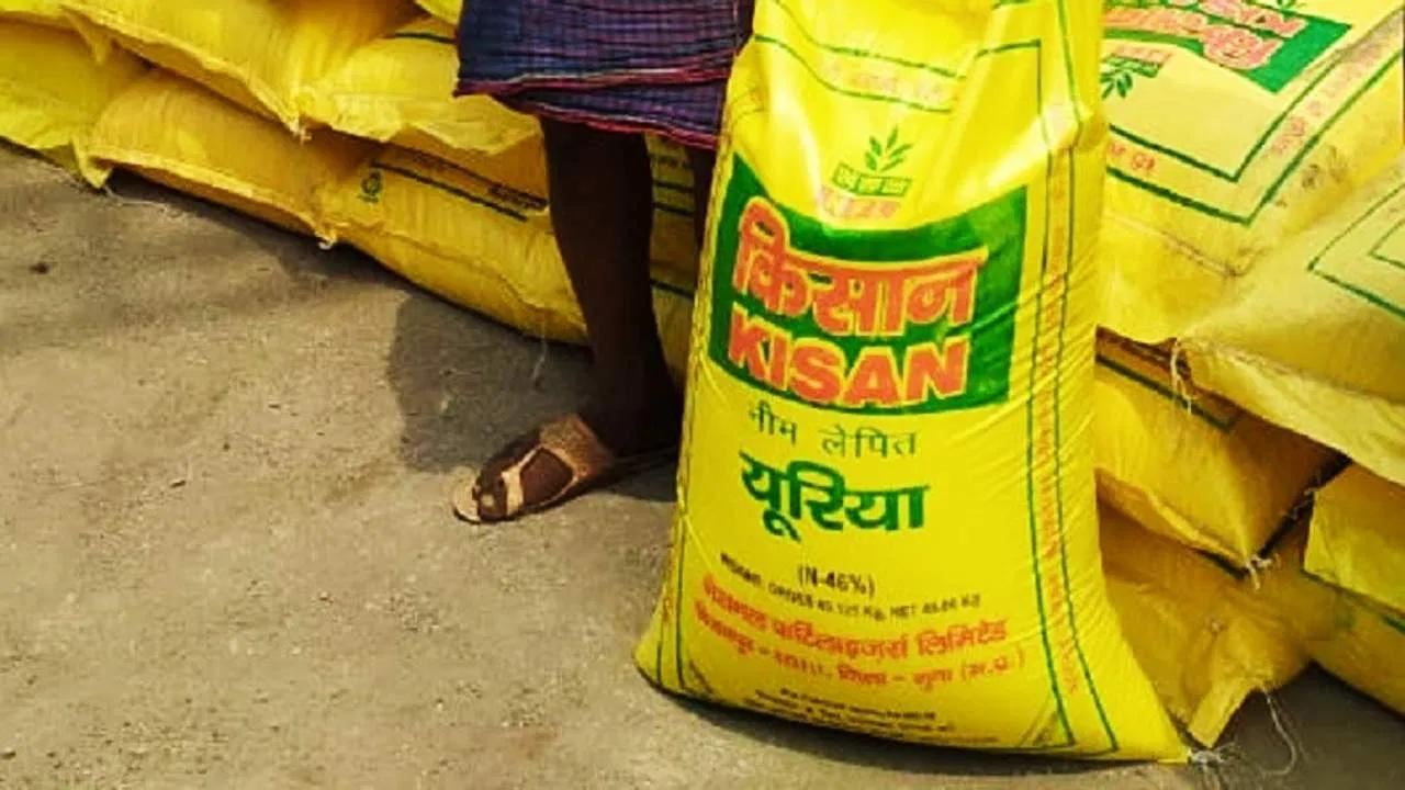 यूरिया और DAP की मांग तेज, कॉम्प्लेक्स खाद की बिक्री घटी