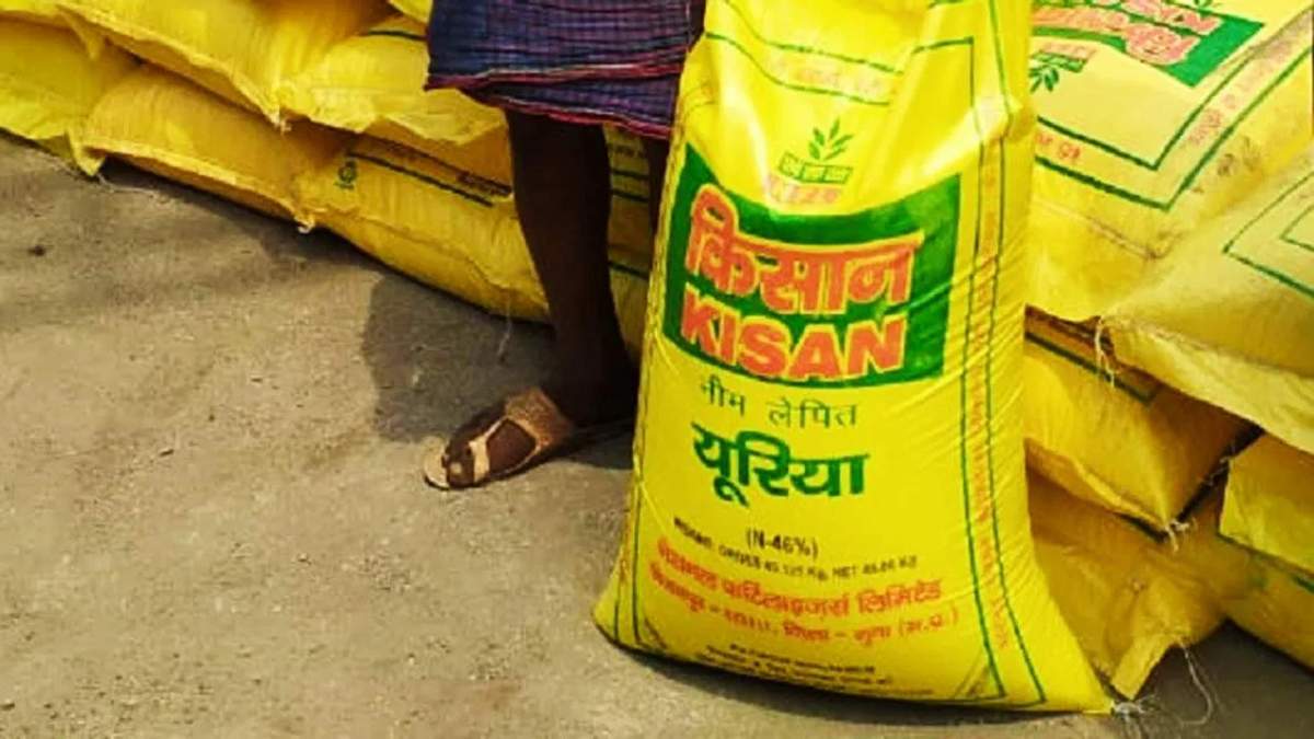 यूरिया और DAP की मांग तेज, कॉम्प्लेक्स खाद की बिक्री घटी