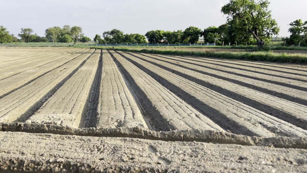 किसानों के लिए दिनभर की ज़रूरी खबरें