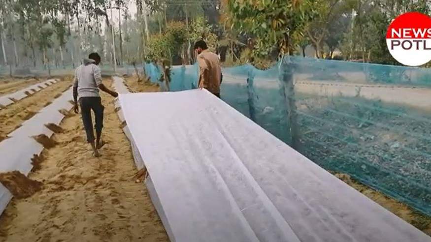 फसल के अनुसार करें मल्चिंग सीट की मोटाई और रंग का चयन