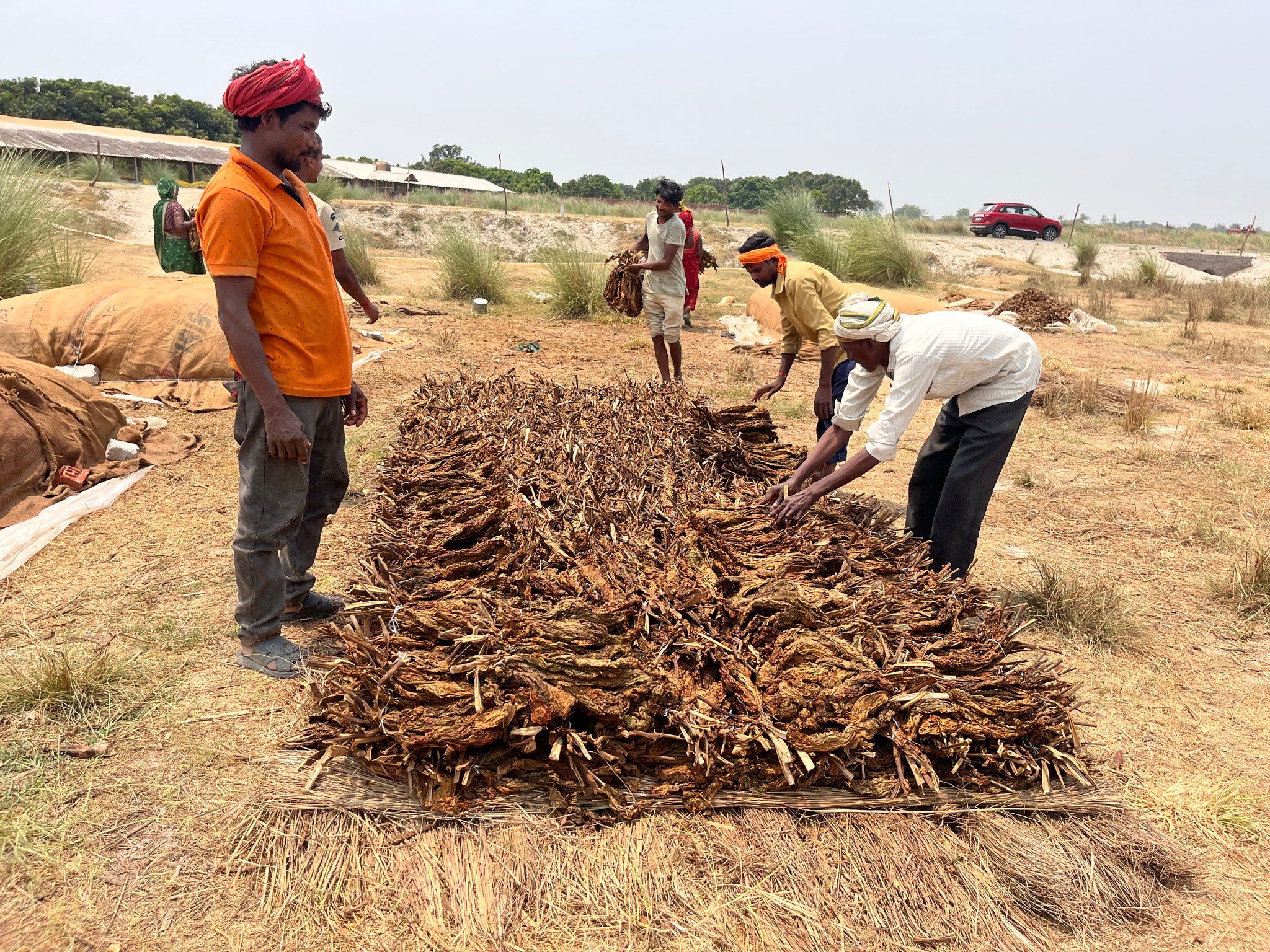 तंबाकू किसानों को बड़ी राहत, कच्चे तंबाकू पर 18% उत्पाद शुल्क हटाया गया