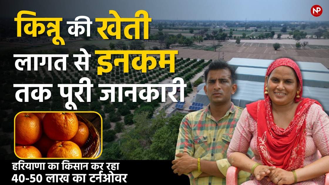 किन्नू की हाईटेक खेती से चमकी हरियाणा की चंद्रकला और विकास की किस्मत, नर्सरी से भी हो रहा मुनाफा