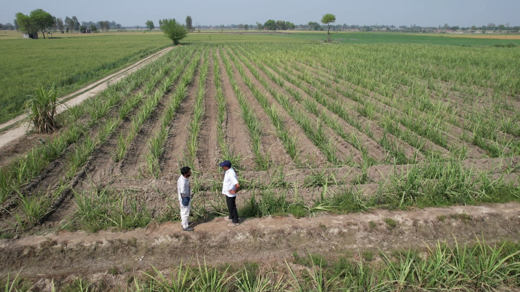 स्थाई कृषि (Sustainable Agriculture) तक पहुँचने के लिए क्यों आसान नहीं है भारत की राह?