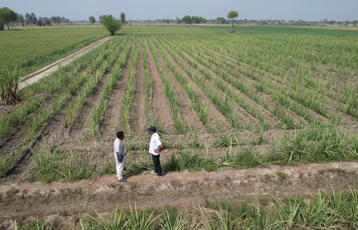 स्थाई कृषि (Sustainable Agriculture) तक पहुँचने के लिए क्यों आसान नहीं है भारत की राह?