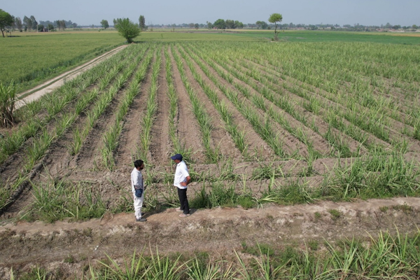 स्थाई कृषि (Sustainable Agriculture) तक पहुँचने के लिए क्यों आसान नहीं है भारत की राह?