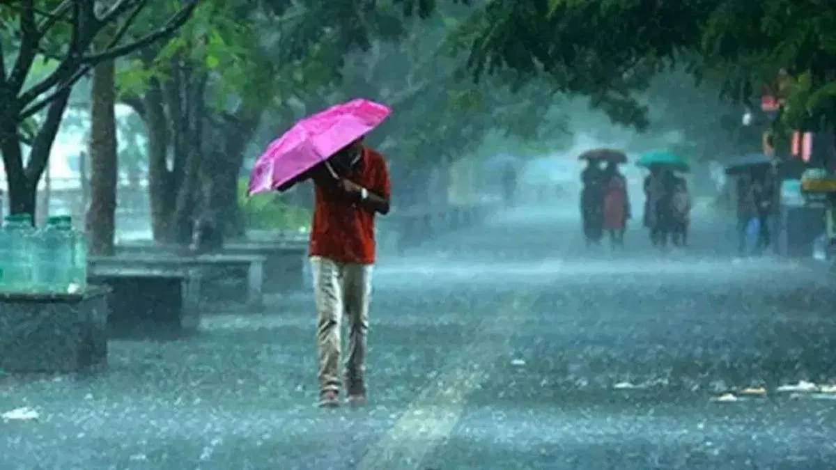 1-15 अगस्त के बीच मानसूनी बारिश 20 प्रतिशत कम, जानिए कहाँ कितनी हुई बारिश?