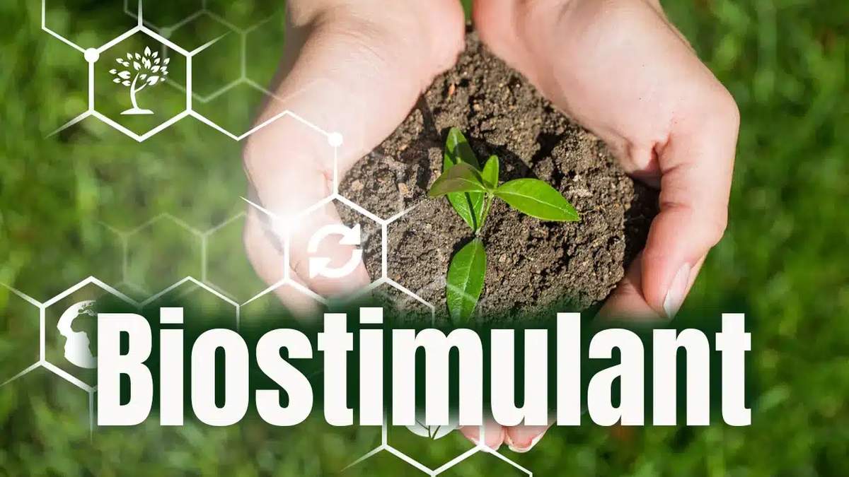FCO के दायरे में आए बायोस्टिमुलेंट्स, 9,352 उत्पाद रद्द