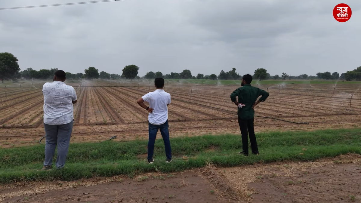 गांधीनगर और बनासकांठा के किसान ड्रिप, स्प्रिंकलर और रेज्ड बेड जैसी तकनीकों के साथ कॉन्ट्रैक्ट फार्मिंग को जोड़कर मूंगफली और प्रोसेसिंग-ग्रेड आलू की खेती कर रहे हैं।