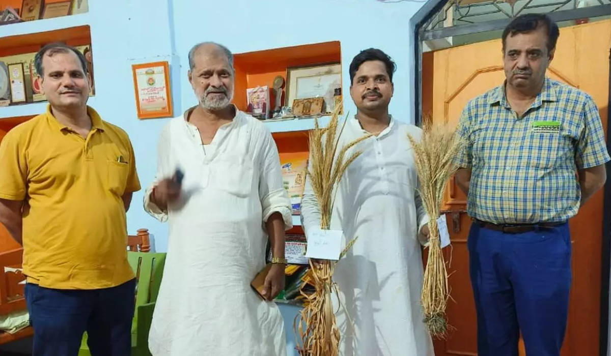 गेहूं की एक, दो नहीं, 31 क‍िस्‍में व‍िकस‍ित की, PM Modi के कहने पर वाराणसी के क‍िसान से म‍िलने पहुंचे कृष‍ि वैज्ञान‍िक