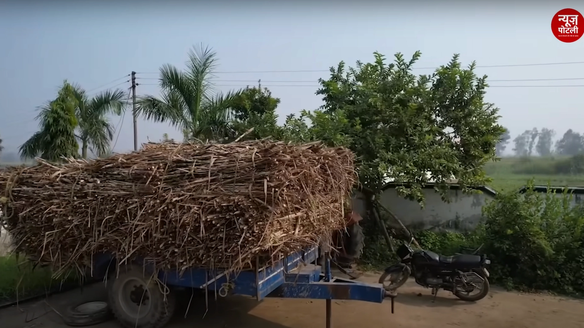 भारत का Sugar Industry ₹1.3 लाख करोड़ का हुआ, इथेनॉल उत्पादन क्षमता 11 साल में चार गुना बढ़ी : केंद्रीय मंत्री