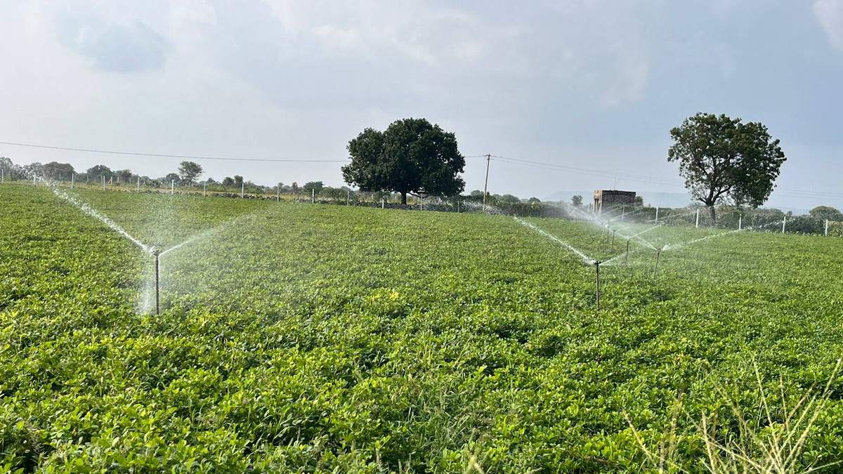 राजस्थान सरकार का किसानों के लिये बड़ा तोहफ़ा, खेती किसानी से जुड़ी और दिनभर की खबरें पढ़ें