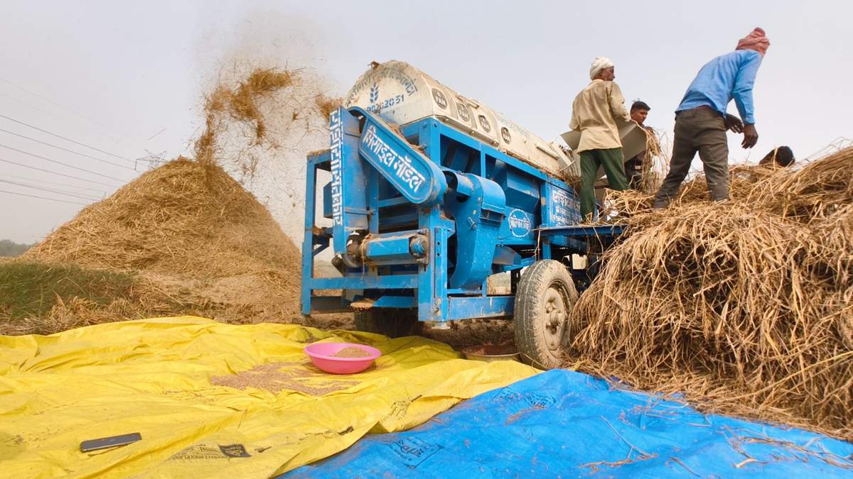2024-25 में खरीफ की फसलों का रिकॉर्ड उत्पादन संभव, पढ़िए, इस बार किस फसल की होगी बंपर पैदावार