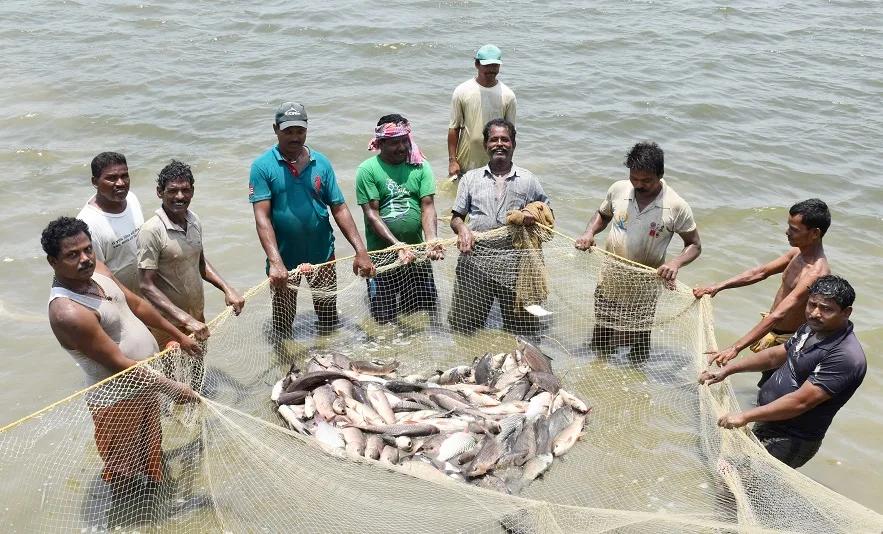 NITI Aayog की रिपोर्ट: भारत को डीप-सी मछली पकड़ने में आगे बढ़ना होगा