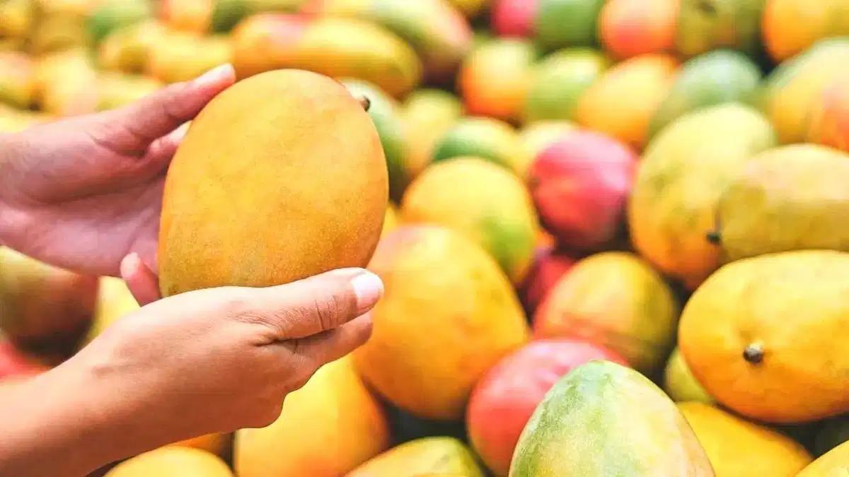 कर्नाटक से 1,616 रुपये प्रति क्विंटल के भाव पर 2.5 लाख टन आम खरीदेगी केंद्र सरकार