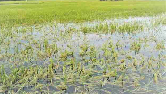 केरल में किसानों के लिए राहत, अक्टूबर तक मिलेगा फसल नुकसान का पैसा