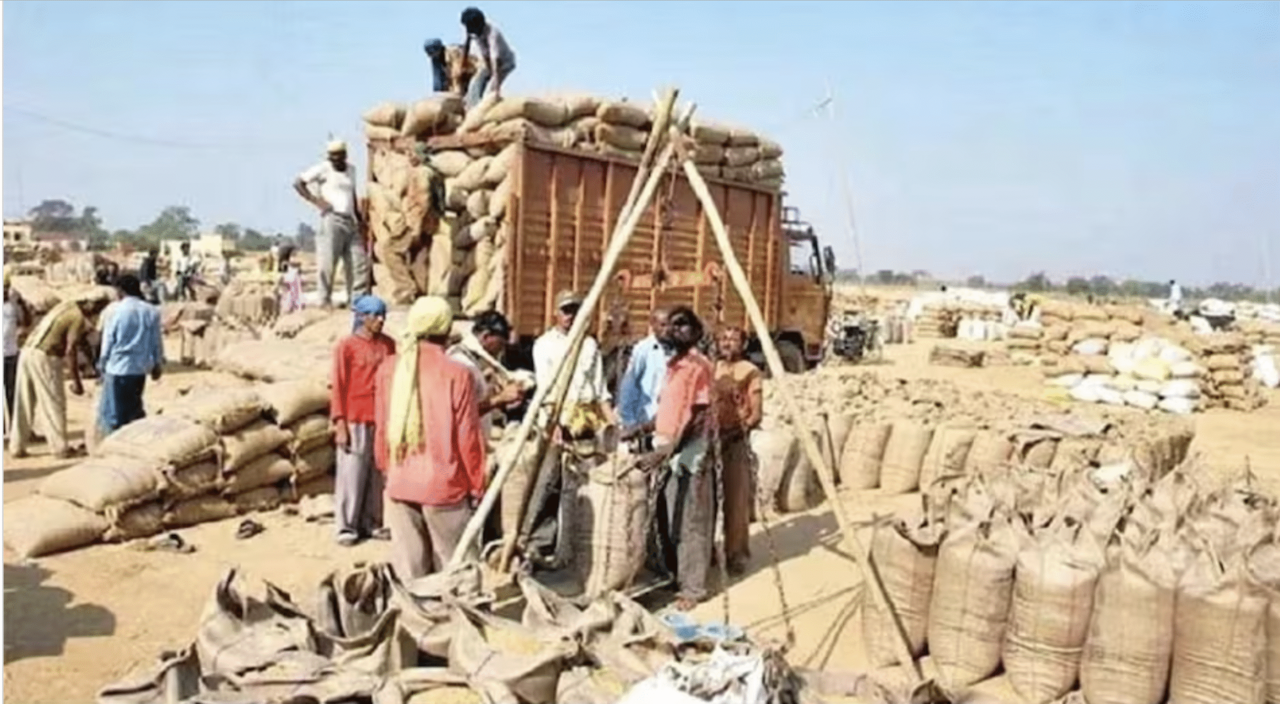धान से रागी तक, गुजरात सरकार ने MSP खरीद के लिए खोले 364 केंद्र