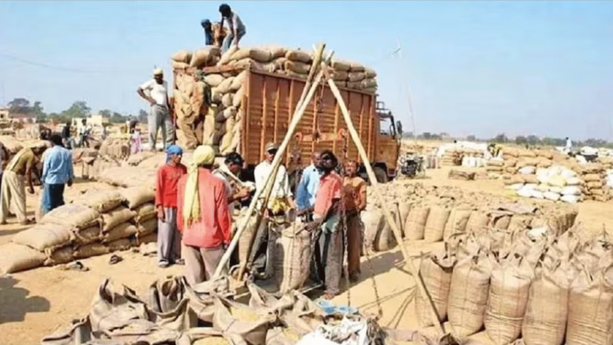 धान से रागी तक, गुजरात सरकार ने MSP खरीद के लिए खोले 364 केंद्र