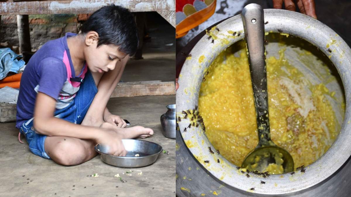 पश्चिम बंगाल: बांकुरा में मक्खियों का आतंक, मच्छरदानी में दिन बिताने को मजबूर ग्रामीण
