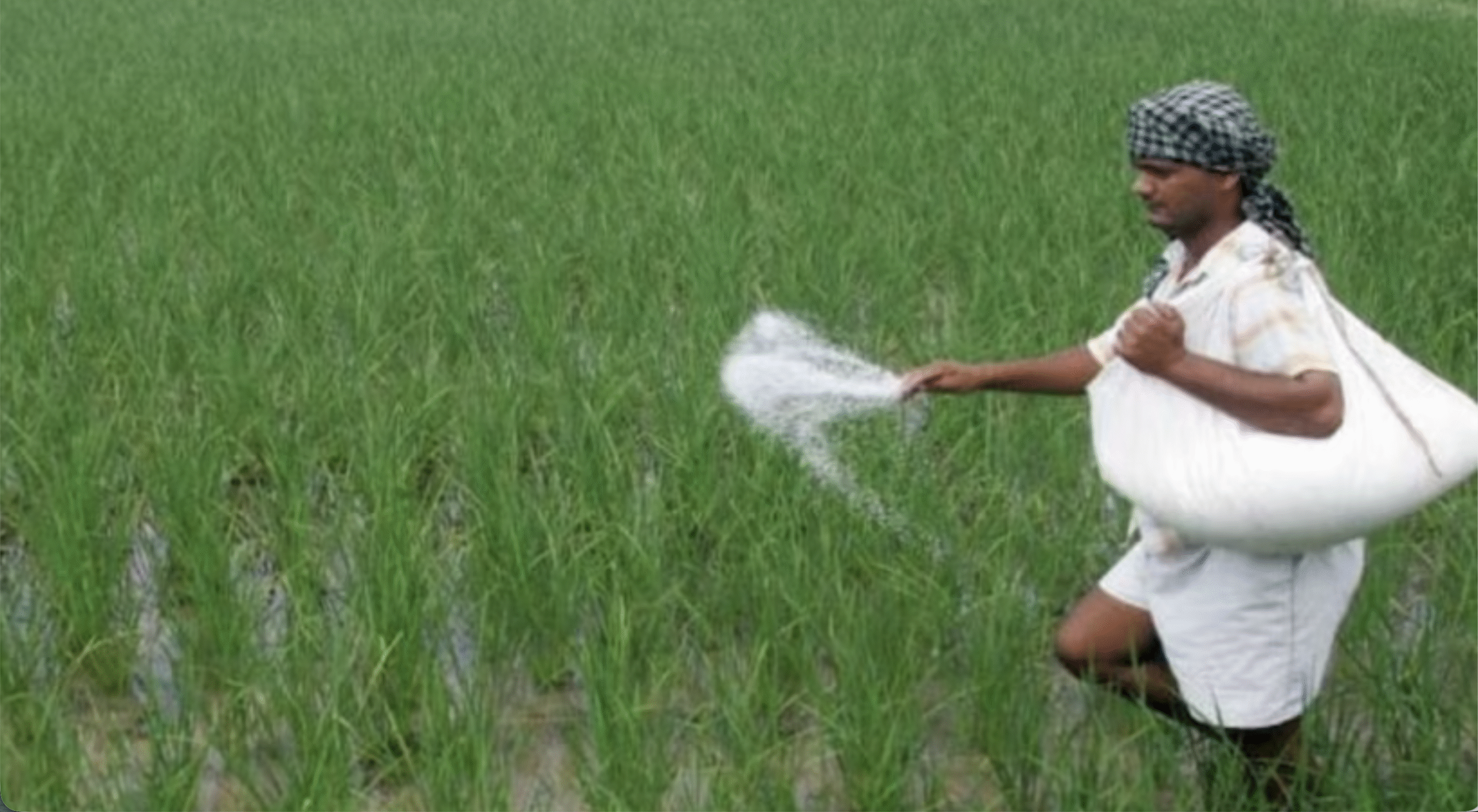 Economic Survey 2025-26: खाद नीति में बदलाव की जरूरत, यूरिया के अंधाधुंध इस्तेमाल पर ब्रेक